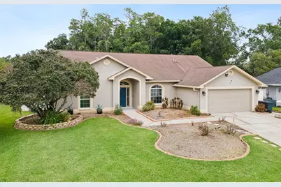 26203 Corkwood Court, Land O Lakes, FL 34639 - Photo 2