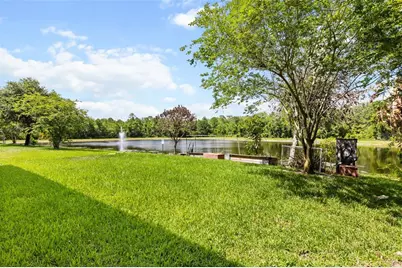 12666 Moss Park Ridge Drive, Orlando, FL 32832 - Photo 24