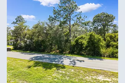 Royal Trails Road, Eustis, FL 32726 - Photo 12