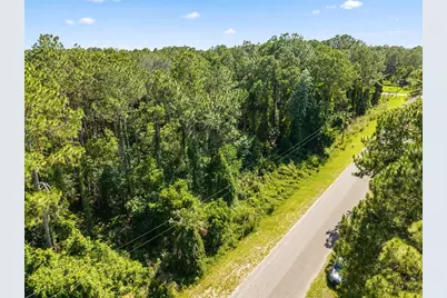 Apricot Avenue, Eustis, FL 32736 - Photo 10