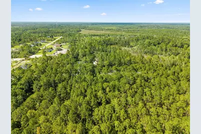 Apricot Avenue, Eustis, FL 32736 - Photo 6