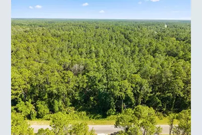 Apricot Avenue, Eustis, FL 32736 - Photo 1