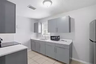 3003 N Adams St, Tampa, FL 33611 - Photo 6