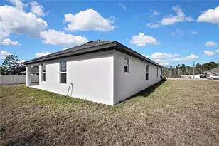 13126 Meadow Swallow Ave, Brooksville, FL 34613 - Photo 30