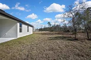 13126 Meadow Swallow Ave, Brooksville, FL 34613 - Photo 28