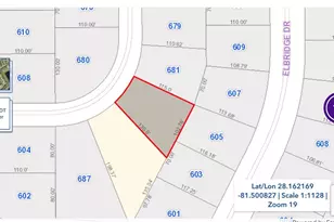 0 Basingstoke, Kissimmee, FL 34758 - Photo 1