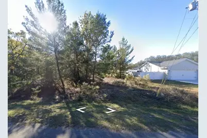 22 Fisher Run Lane, Ocklawaha, FL 32179 - Photo 2