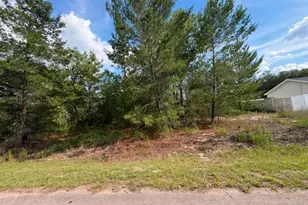 22 Fisher Run Ln, Ocklawaha, FL 32179 - Photo 1