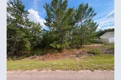 131 Malauka Run, Ocklawaha, FL 32179 - Photo 1
