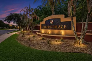 14614 Grand Cove Dr, Orlando, FL 32837 - Photo 48