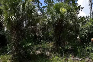 Sago Palm Rd, North Port, FL 34291 - Photo 1