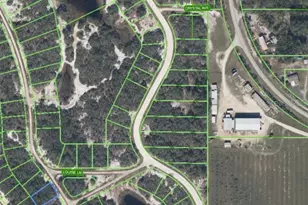 232 Crystal Lake Dr, Lake Placid, FL 33852 - Photo 1