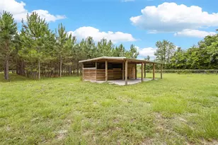 7251 NW 40th St, Chiefland, FL 32626 - Photo 38