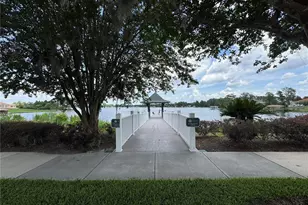 6873 Northwich Dr, Windermere, FL 34786 - Photo 44