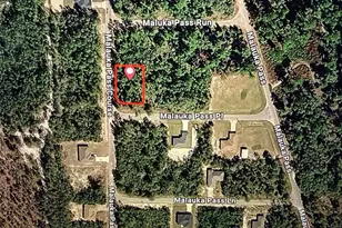 Malauka Pass Crse, Ocklawaha, FL 32179 - Photo 1