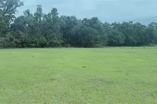 10710 McIntosh Rd, Thonotosassa, FL 33592 - Photo 6