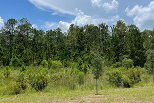 7630 Bent Tree Loop, Saint Cloud, FL 34771 - Photo 4