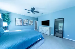 17459 Chateau Pine Way, Clermont, FL 34711 - Photo 26