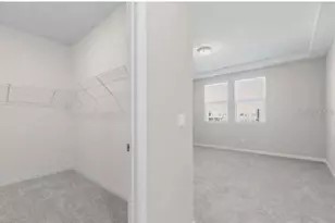 4976 Citrus Leaf Blvd, Winter Garden, FL 34787 - Photo 8