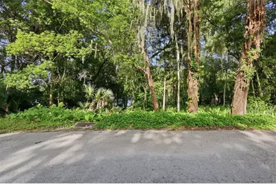 Vista Street, Lake Helen, FL 32744 - Photo 12
