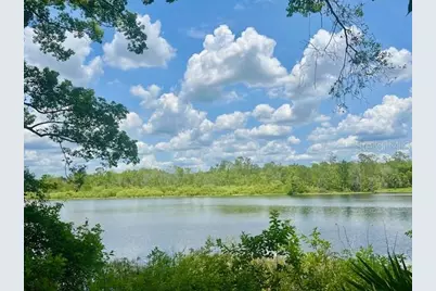 Vista Street, Lake Helen, FL 32744 - Photo 4