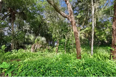 Vista Street, Lake Helen, FL 32744 - Photo 10