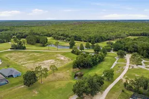 162 W Romany Loop, Beverly Hills, FL 34465 - Photo 48