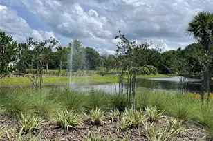 2007 Handsome Hl Ln, Davenport, FL 33837 - Photo 22
