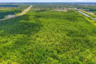 S Apopka Vineland Rd, Orlando, FL 32821 - Photo 14