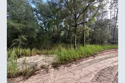 Sw 40th Street, Ocala, FL 34481 - Photo 4