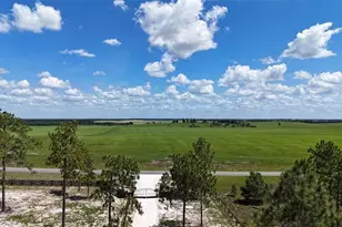 14270 SE 60 St, Morriston, FL 32668 - Photo 14