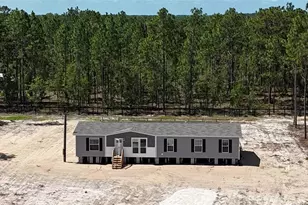 14270 SE 60 St, Morriston, FL 32668 - Photo 4