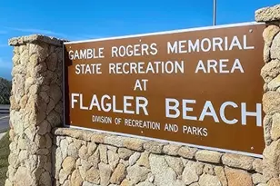 3510 S Ocean Shore Blvd, Flagler Beach, FL 32136 - Photo 48