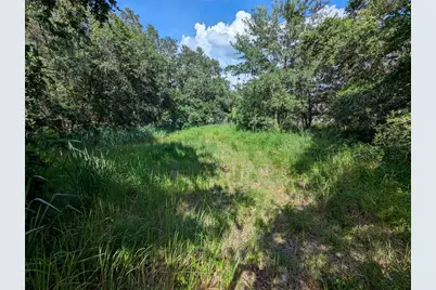 6631 Merle Street, Mulberry, FL 33860 - Photo 1