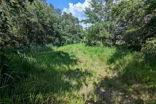 6631 Merle St, Mulberry, FL 33860 - Photo 1
