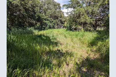6631 Merle Street, Mulberry, FL 33860 - Photo 2