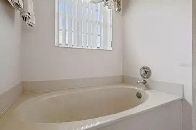 2802 Drifting Lilly Loop, Kissimmee, FL 34747 - Photo 14