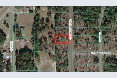 0 Guava Terrace Radial, Ocklawaha, FL 32179 - Photo 1