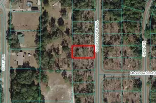 0 Guava Ter Radial, Ocklawaha, FL 32179 - Photo 1