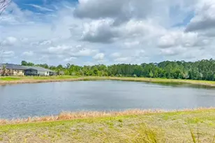 3434 Sagebrush St, Harmony, FL 34773 - Photo 2