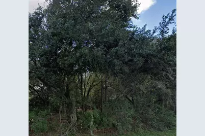 Granada Drive, Indian Lake Estates, FL 33855 - Photo 1