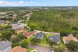 2438 Wild Tamarind Blvd, Orlando, FL 32828 - Photo 48