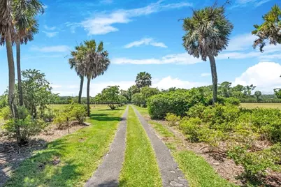 14365 SE Highway 42, Weirsdale, FL 32195 - Photo 10