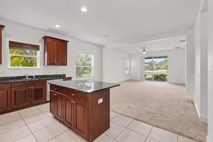4107 Pine Meadow Dr, Parrish, FL 34219 - Photo 10
