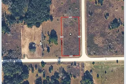 9017 Split Stone Drive, Webster, FL 33597 - Photo 6