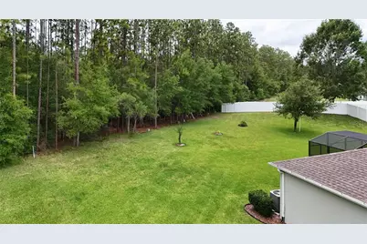 4606 Coppola Drive, Mount Dora, FL 32757 - Photo 46