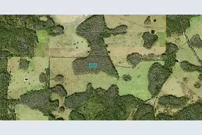 No Street, Polk City, FL 33868 - Photo 2