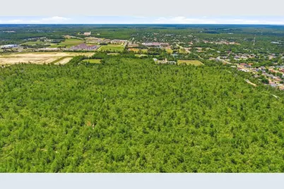 Amelia (Paper) Avenue, Deltona, FL 32725 - Photo 8