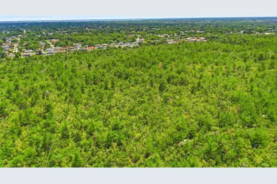 Amelia (Paper) Avenue, Deltona, FL 32725 - Photo 10