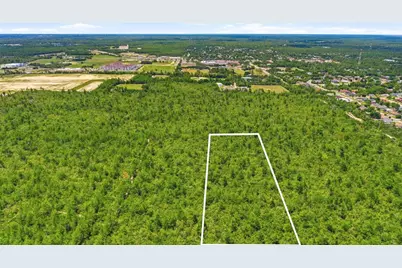 Amelia (Paper) Avenue, Deltona, FL 32725 - Photo 8